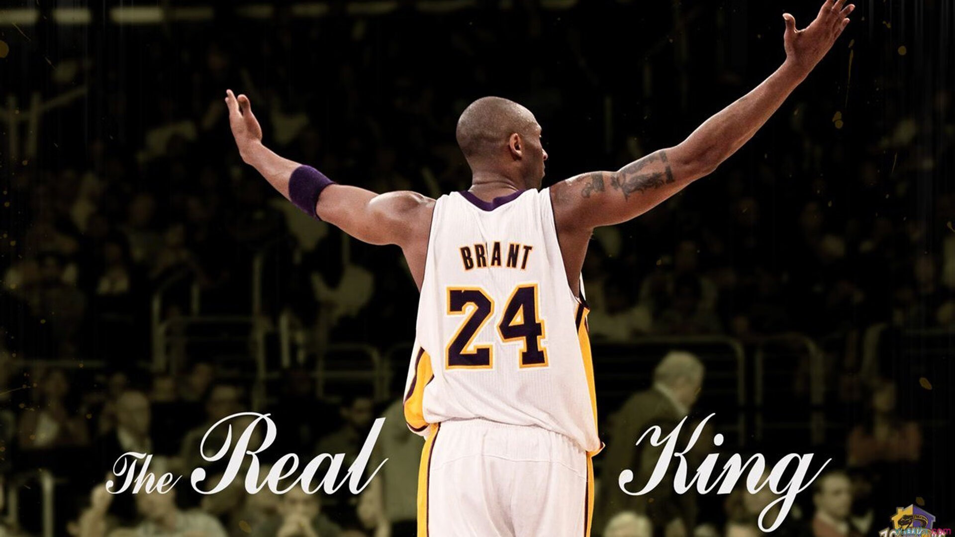 【青少年训练指南】入门到精通的训练路线图，青少年训练营有用吗